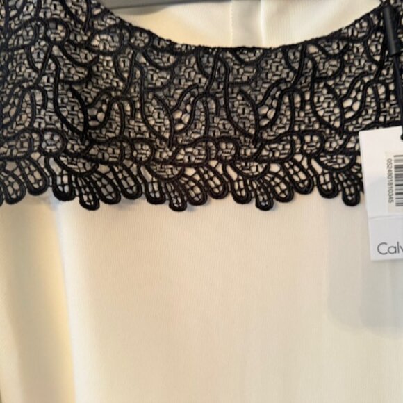 New Calvin Klein Cocktail Ivory/Black Lace Sheath Sleeveless Dress - Size 16 - Picture 5 of 6
